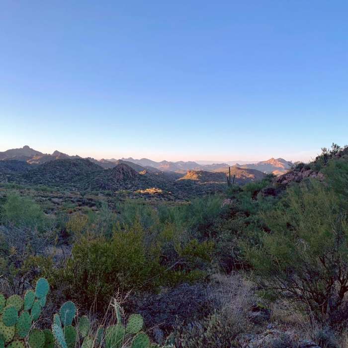 Near Dutchman Trail #104