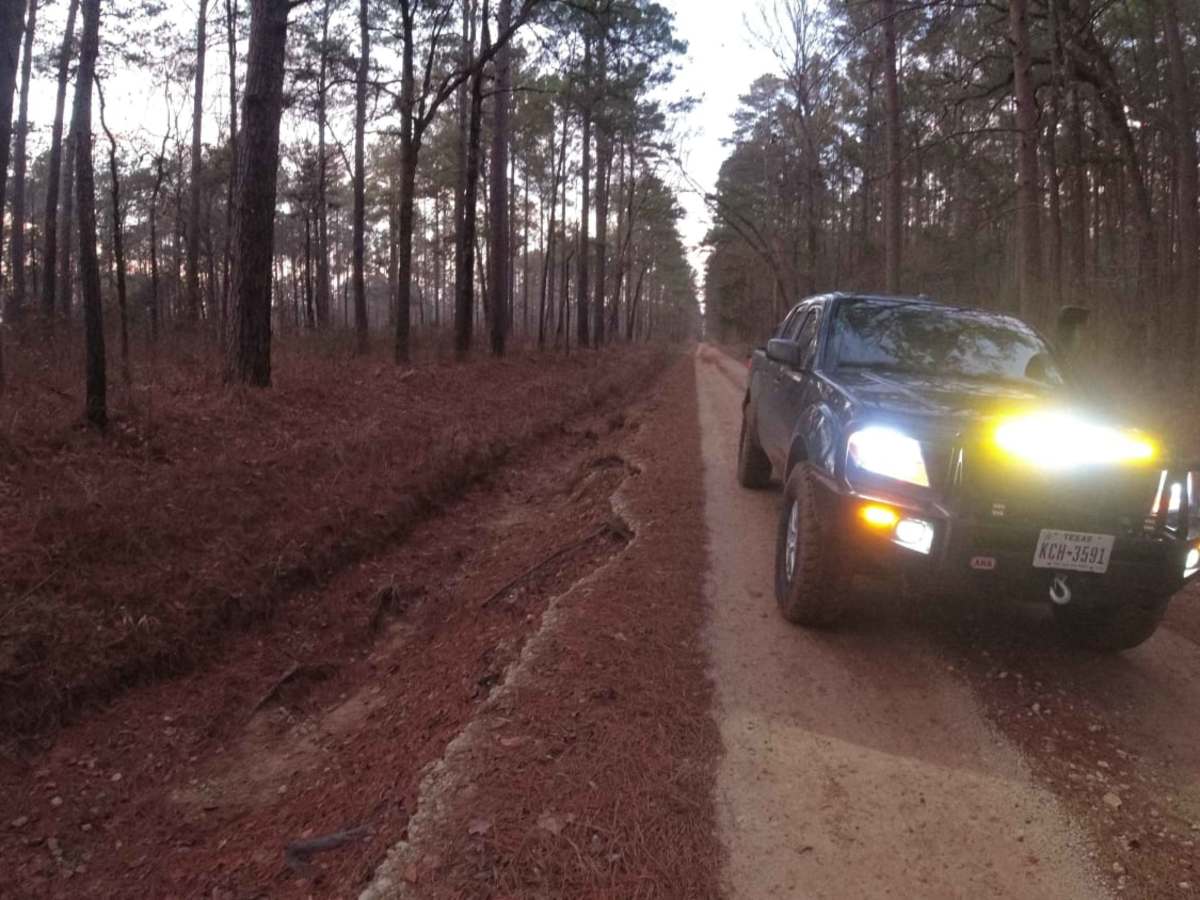 Davy Crockett National Forest Route photo 6
