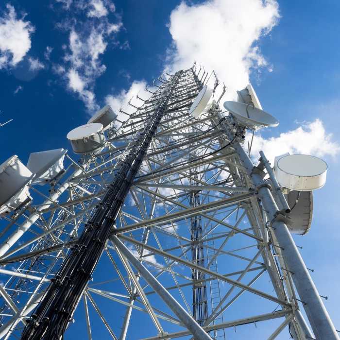 Near Old Thompson Peak Trail