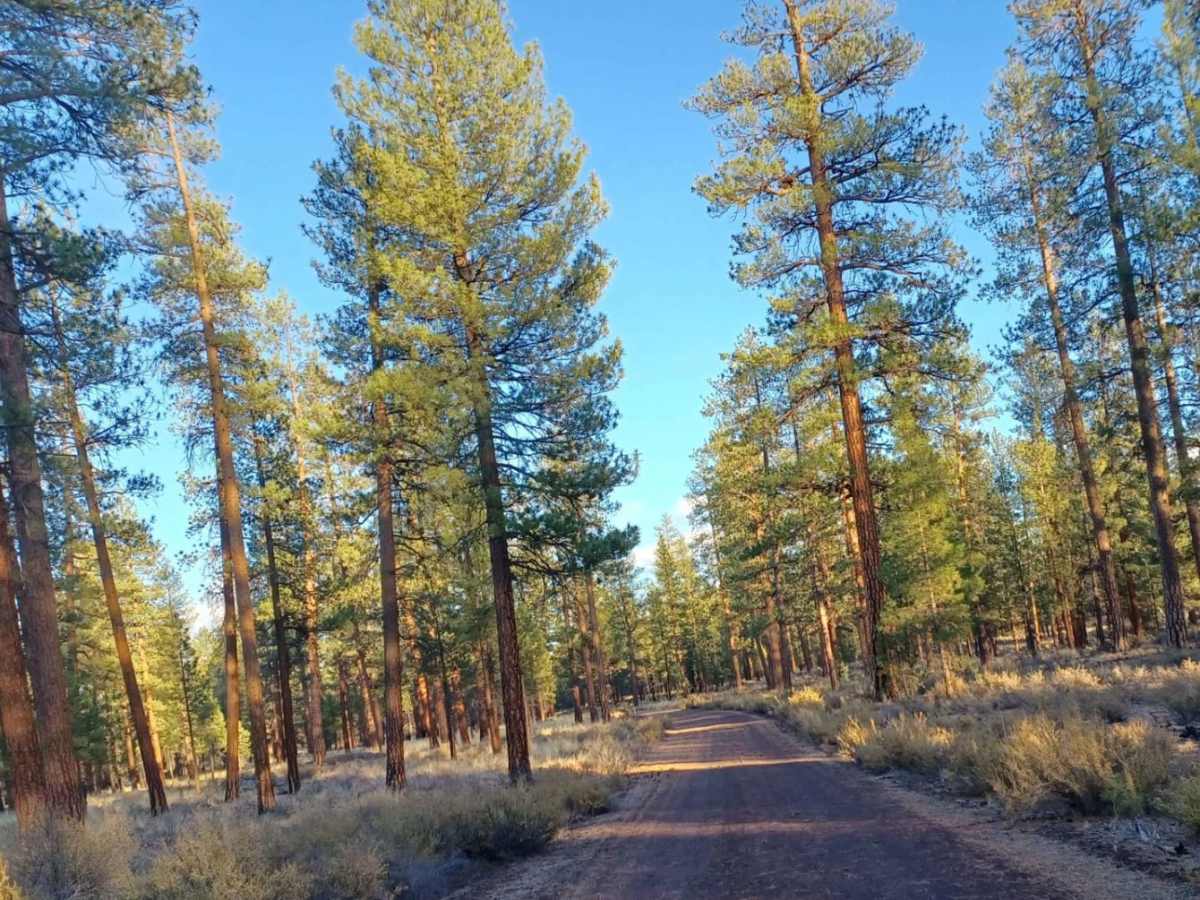 Flat Top photo 6