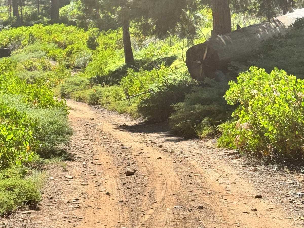 Old Strawberry Road Trail - FS 4N28YB photo 2