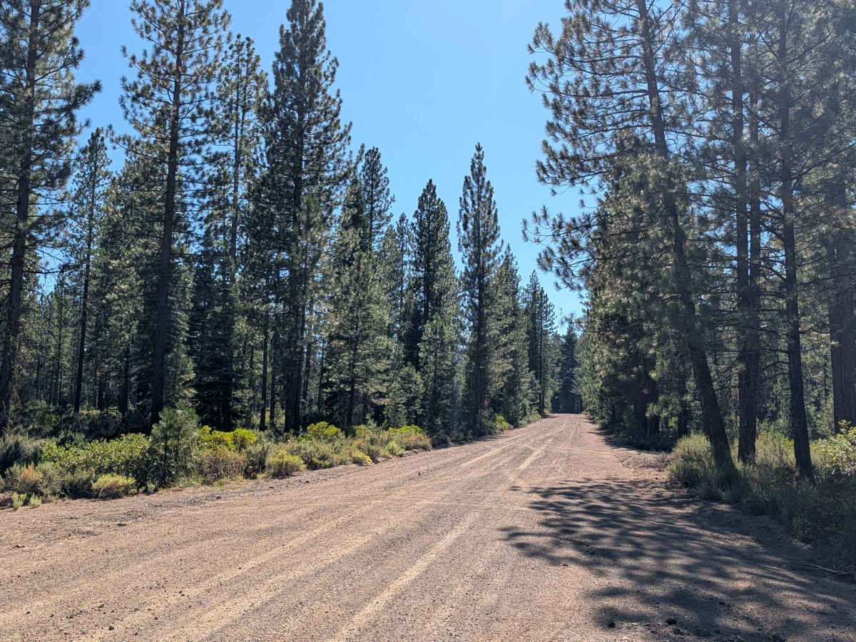 Harris Mountain - FS 42N32 trail photo