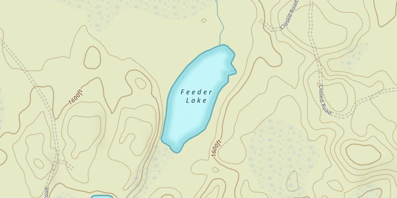 Feeder Lake