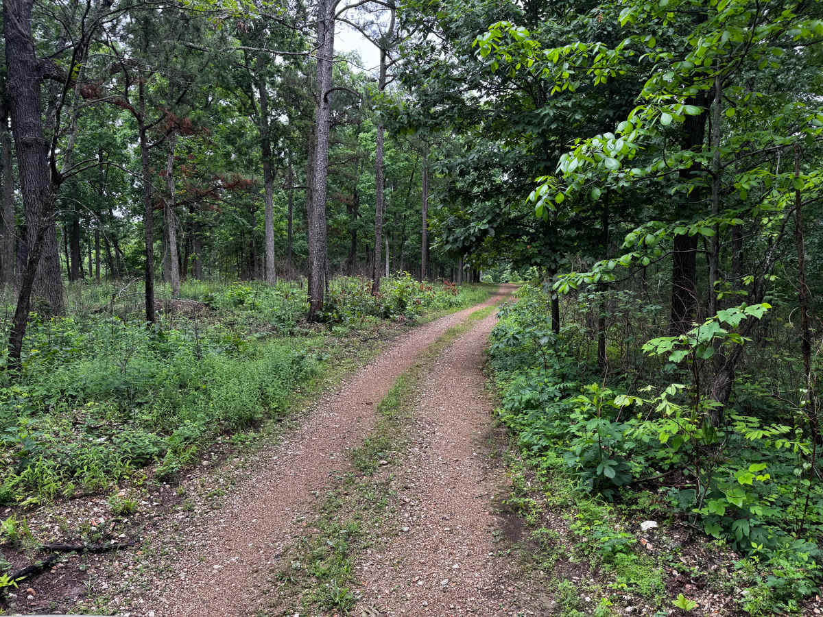 Cook trail photo