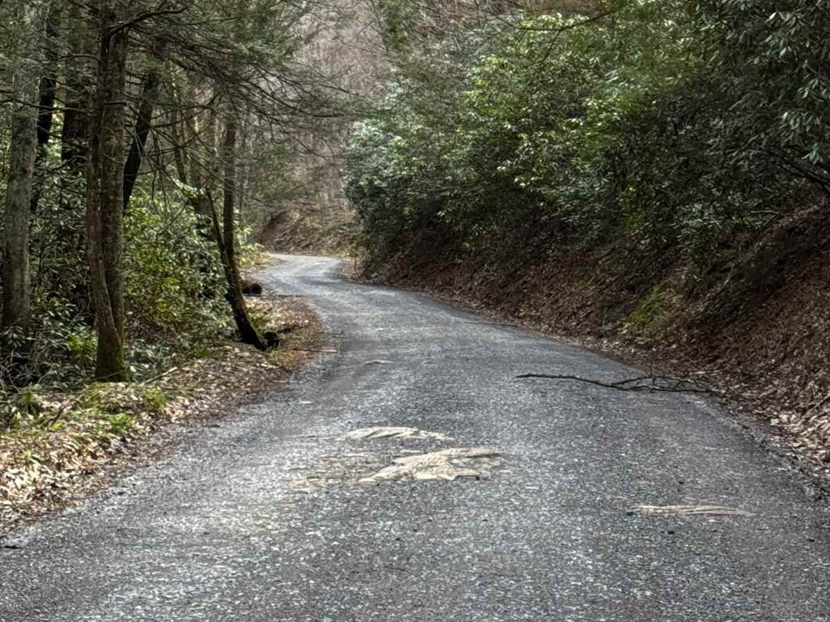 Orviston Mountain Road photo 6