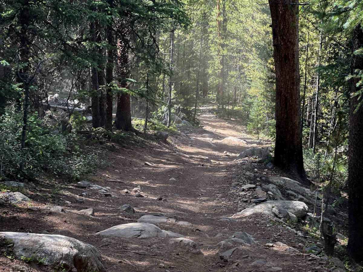 South Fork Swan Trail #9088  photo 6