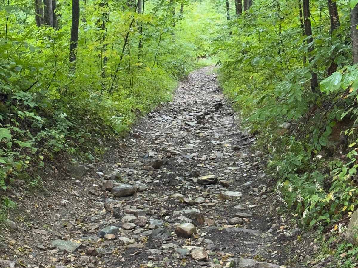 White Oak Road trail photo