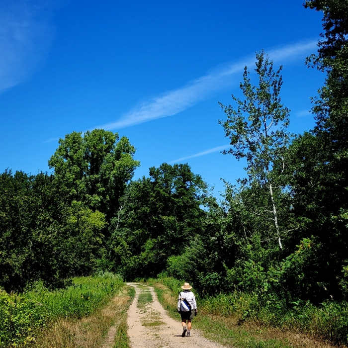 Almost back to the Horse Trail Entrance trailhead. Near Minnregs Lake Loop