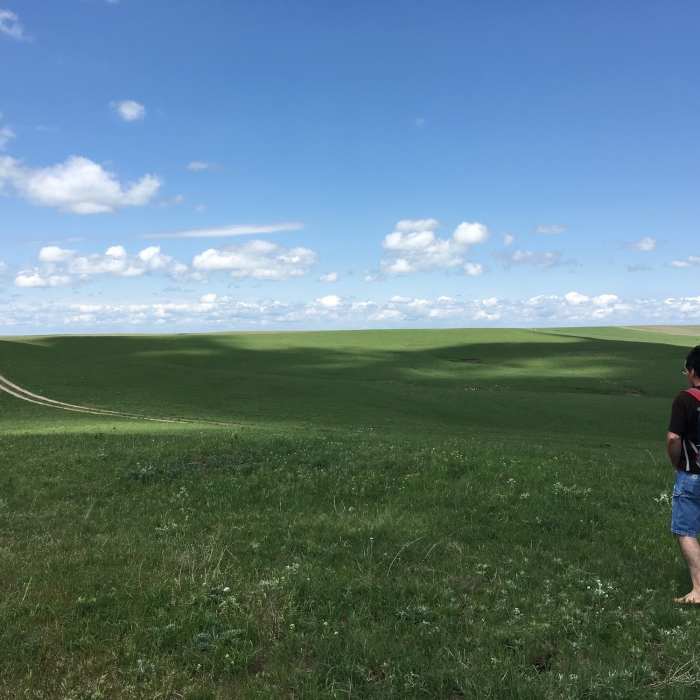 Near Scenic Overlook Trail