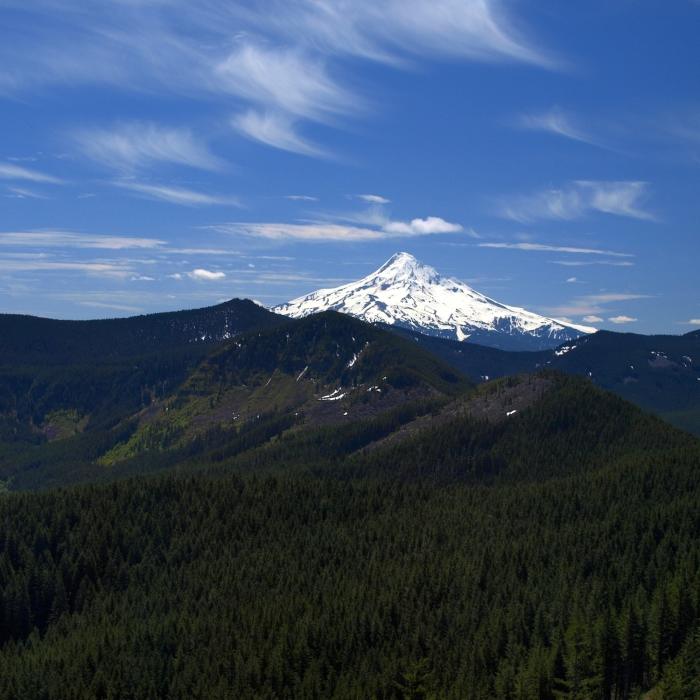 Near PCT: Herman Creek to Eagle Benson
