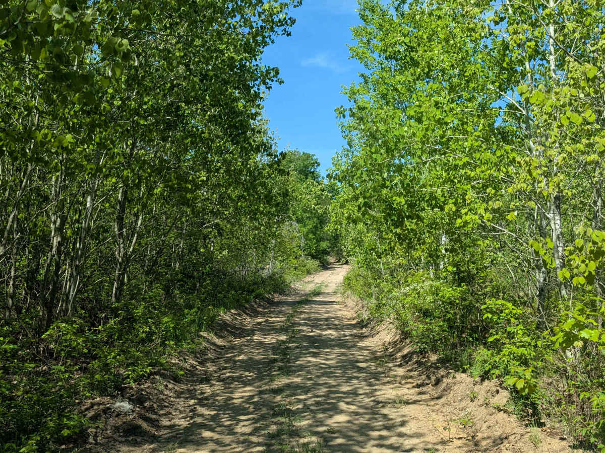 Decker Road - 571105 photo 5