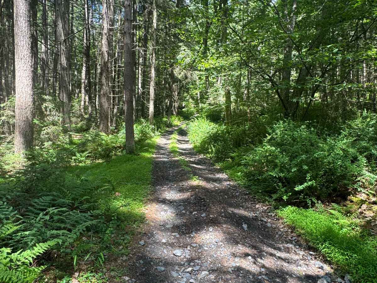 Button Connector Trail photo 2