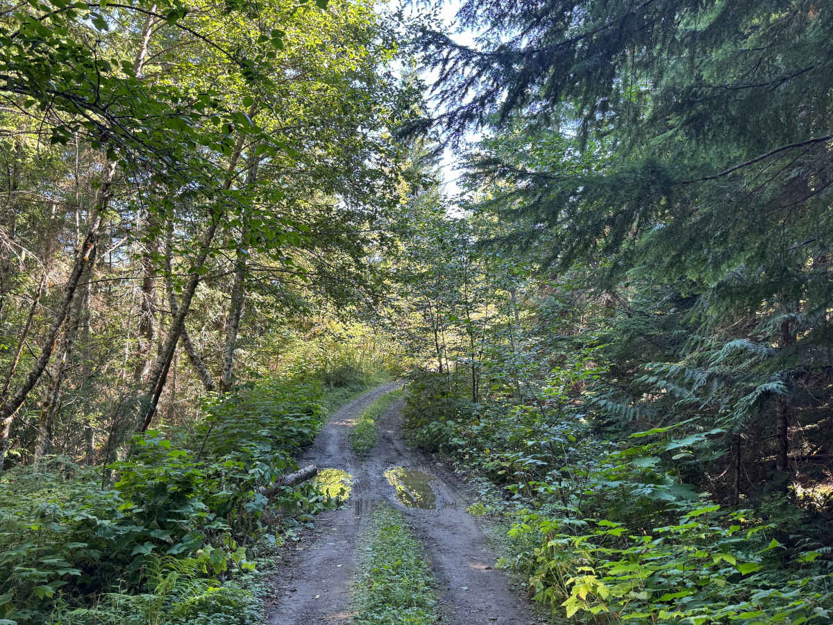 Peekaboo Lake Trail trail photo
