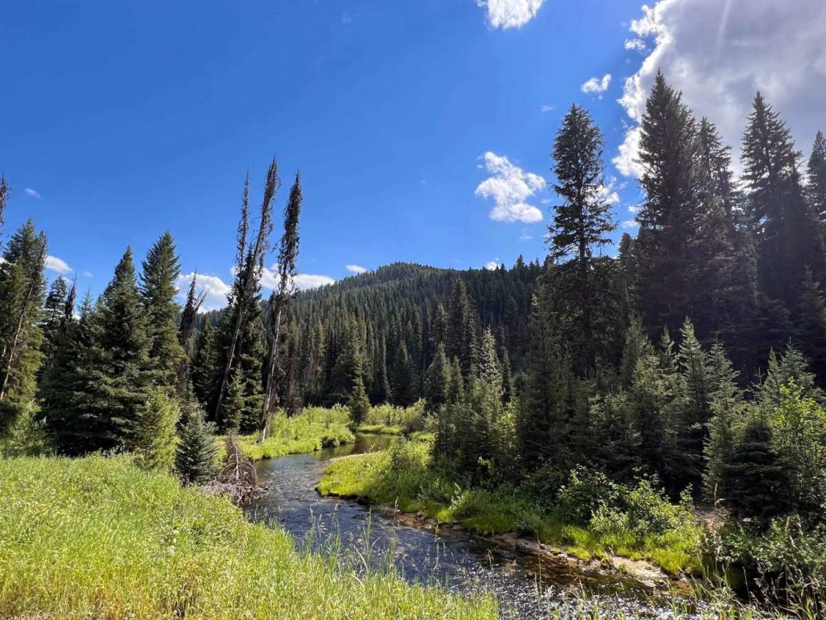 Martin Creek to Chain of Lakes Trail trail photo