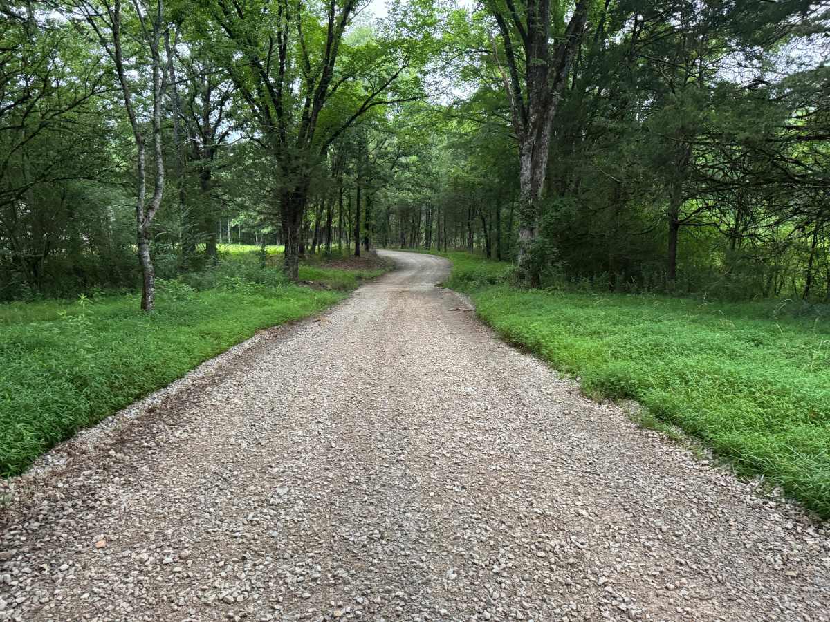 County Road 3339 photo 3