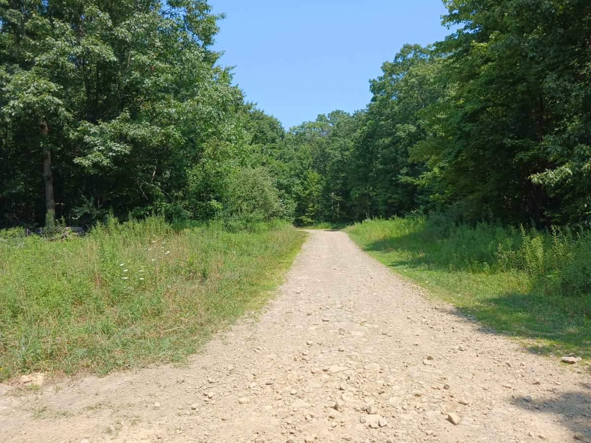 Turkey Flats Road - Rock Run Recreation Area photo 3