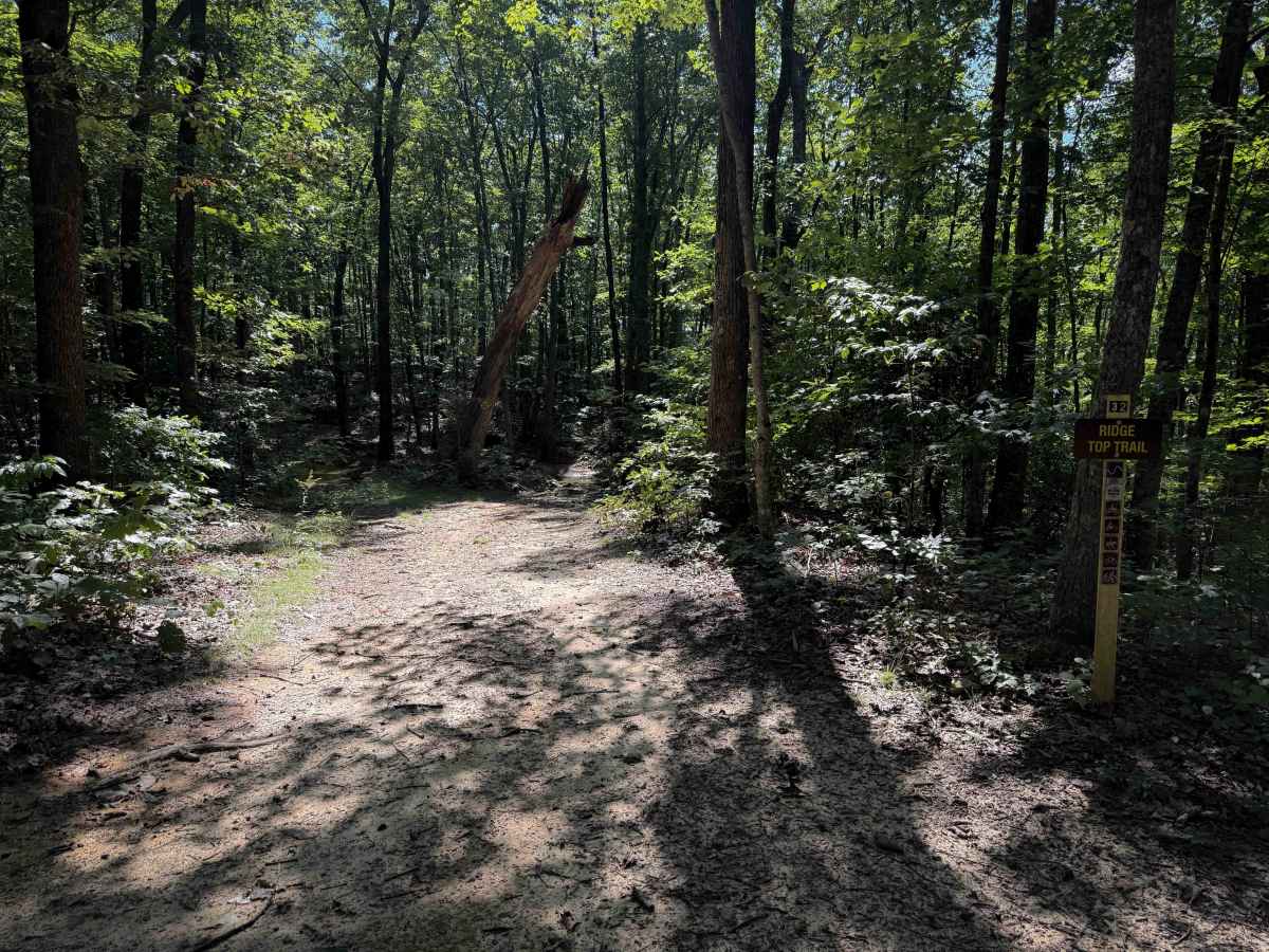 Ridge Top Trail 32  photo 2