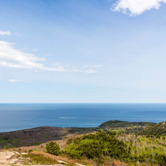 Near Champlain Mountain via South Ridge Trail Near Champlain Mountain via South Ridge Trail