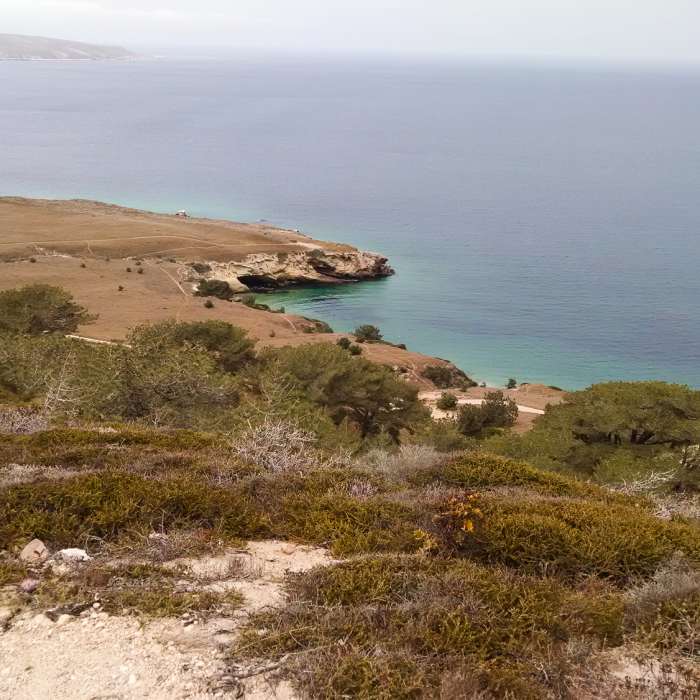 Near Torrey Pines Trail