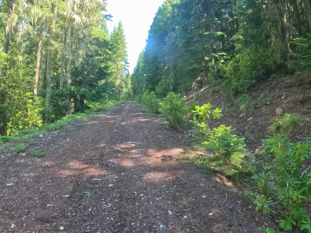 Presley Lake - FS 2257515 trail photo