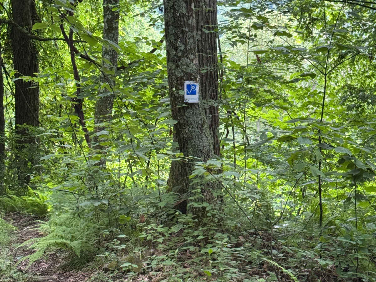 Trail 27 photo 2