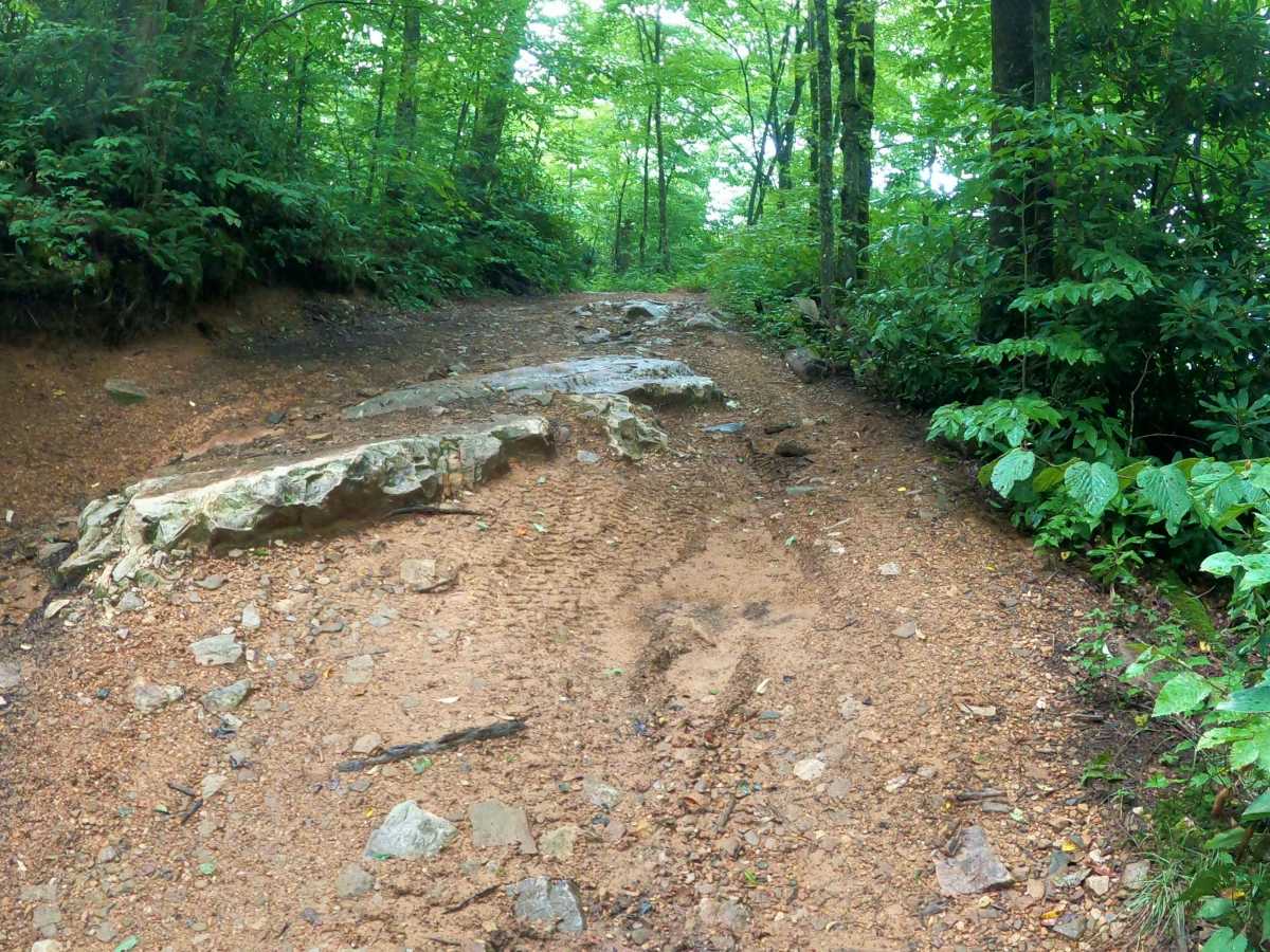 Horse Creek photo 5