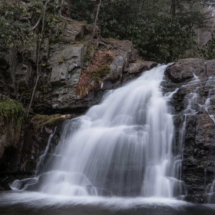Near Hawk Falls Trail