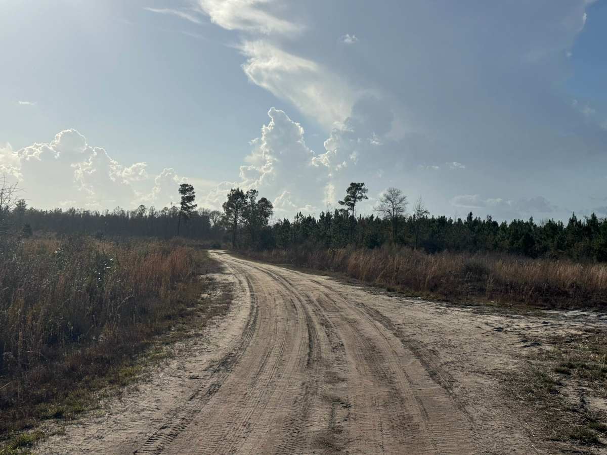 Sawgrass Road photo 6
