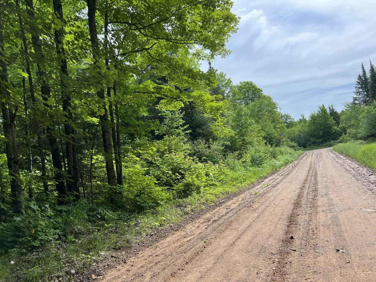 Swanson Road photo 3