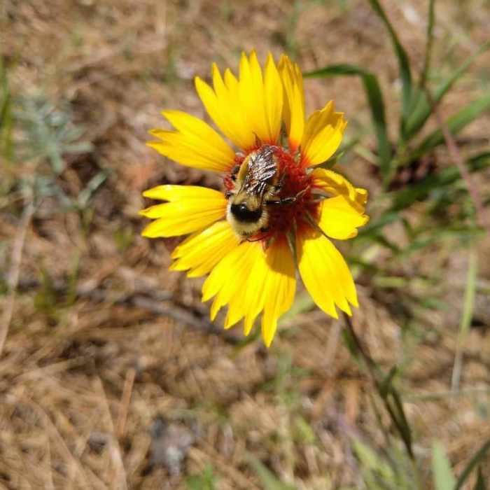 Near Glenrose Cliffs Hike
