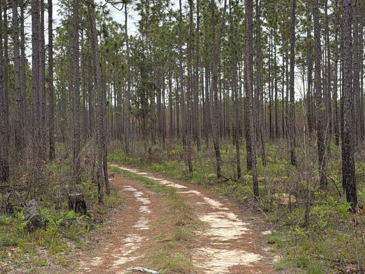 J 56 trail photo