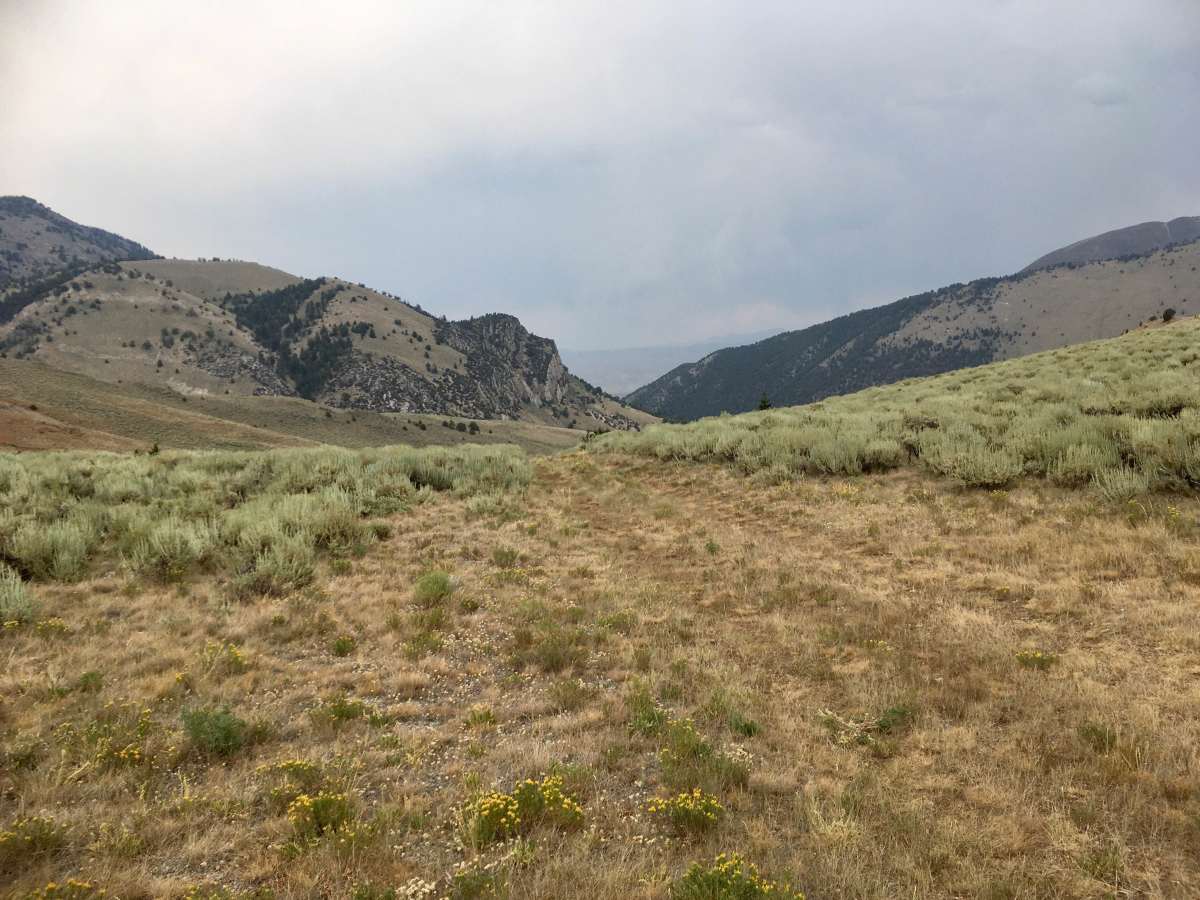 Little Water Creek Road photo 6