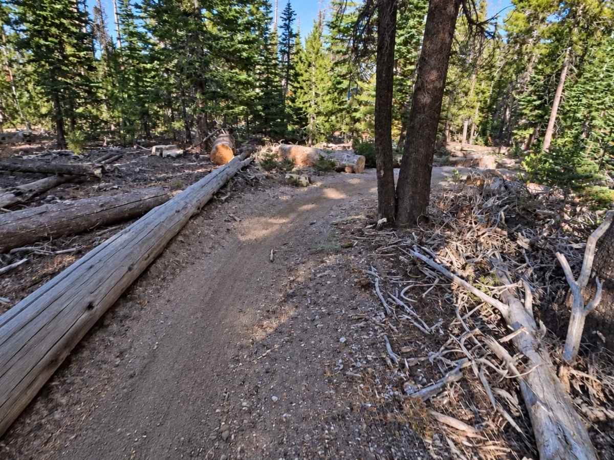 FS 3S109 Singletrack photo 4