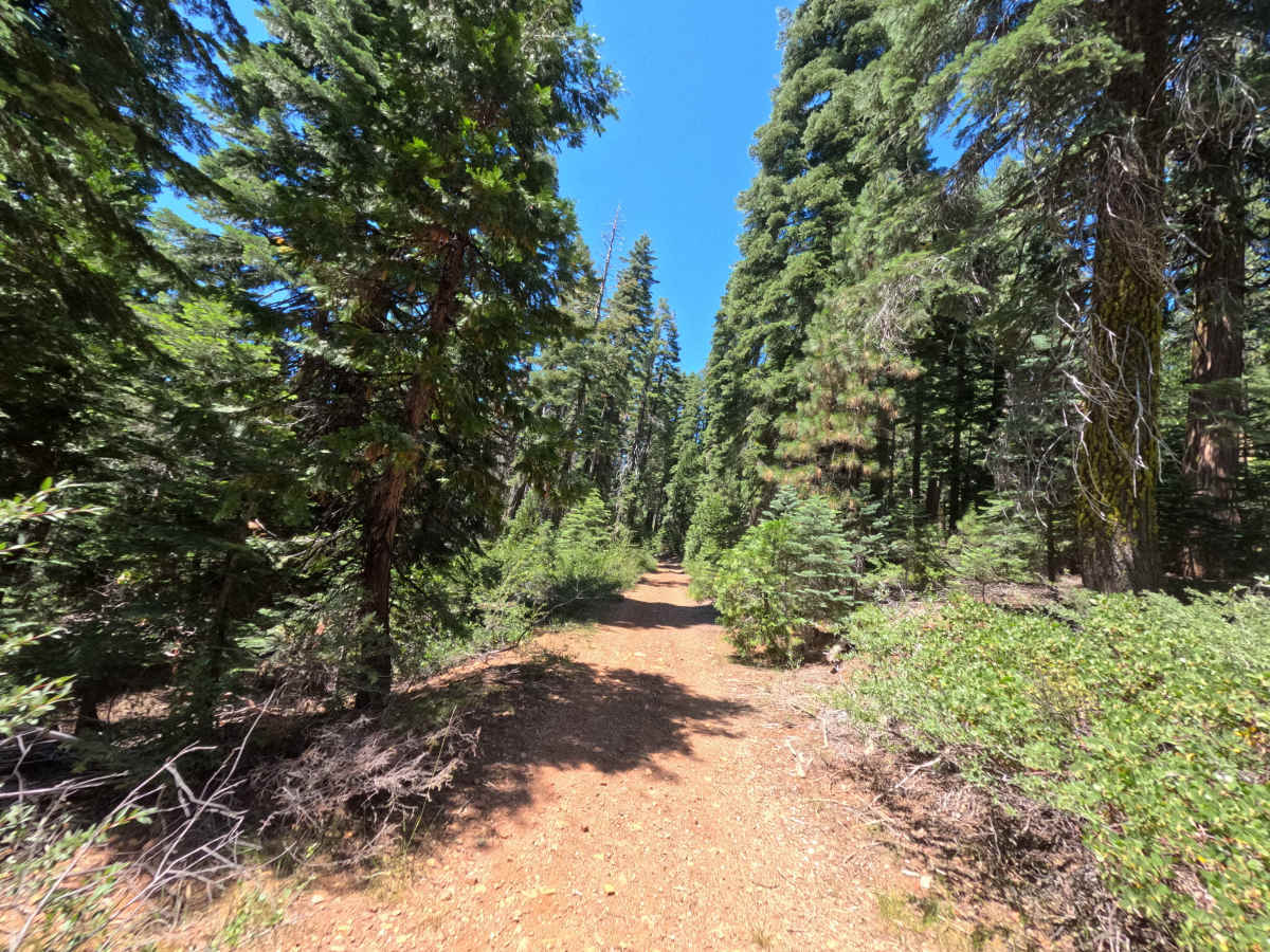 Claycroft Ridge Off-Highway Vehicle Trail - Lower -  FS 11E18 photo 4
