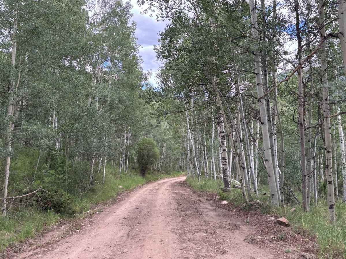 Nast Lake Access photo 4