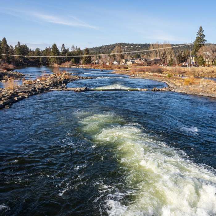 Near Deschutes River Trail (Mill A Loop)