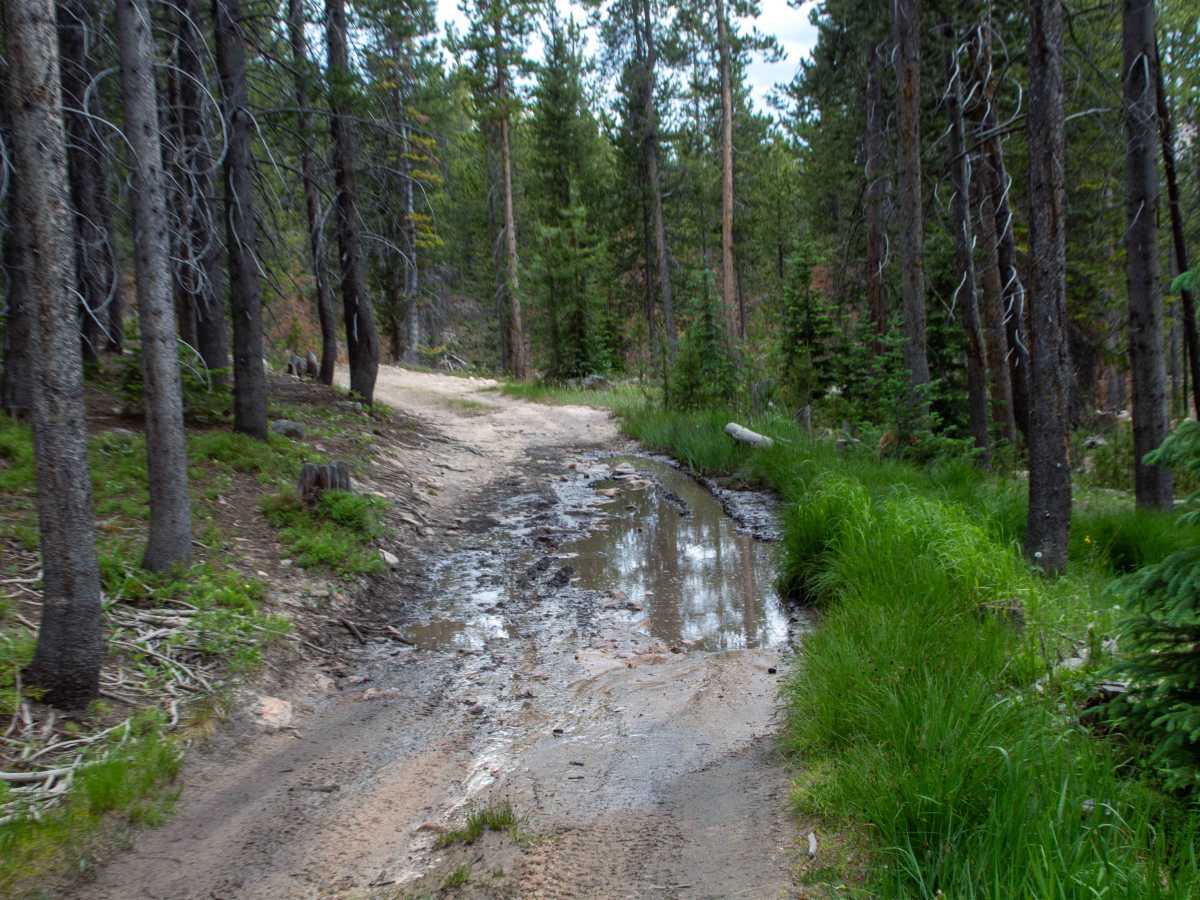 Spring Canyon 2 - FS 80944 photo 4