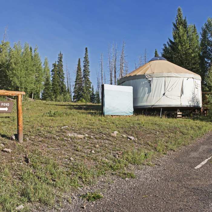 Near Alpine Pond Loop