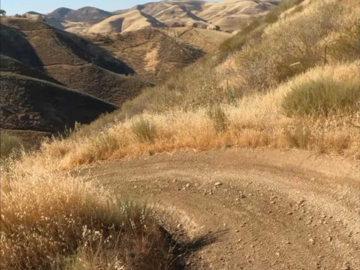 East Serpentine Trail  photo 6