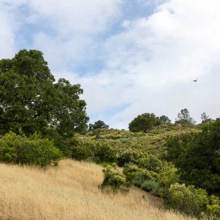 Near Wall Point Road