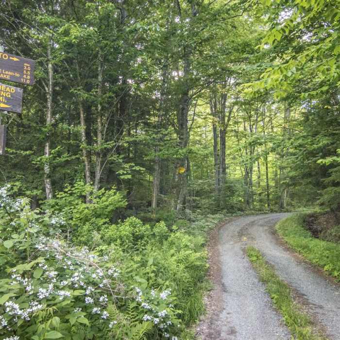 Near Pillsbury Mountain Fire Tower Near Pillsbury Mountain Fire Tower