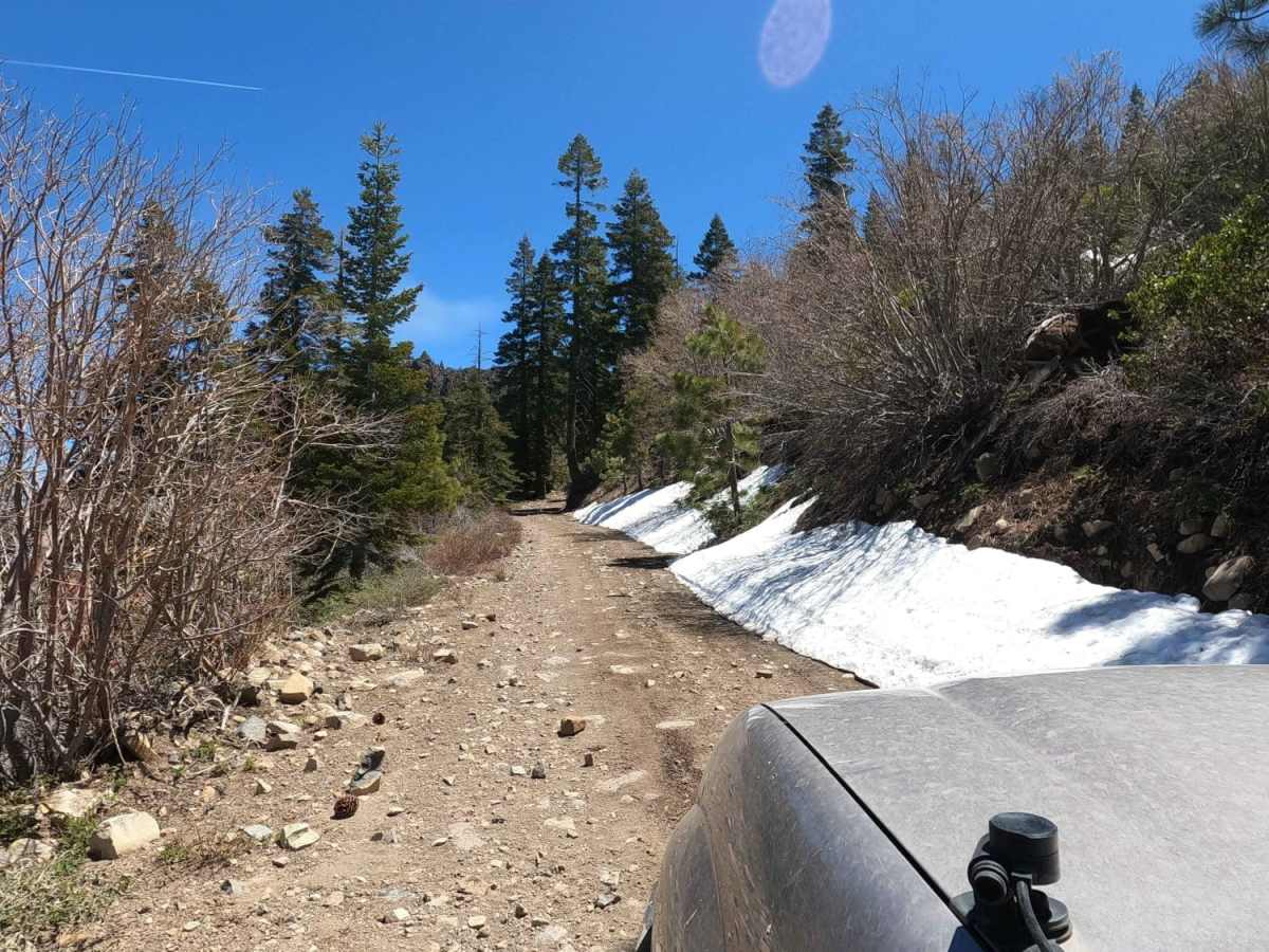 Sugarpine Spur A - NF22N55A photo 3