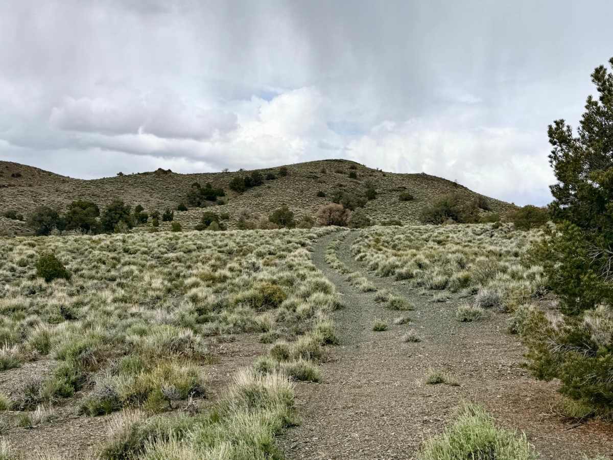 Manhattan Willow Connect - FS 44526 trail photo