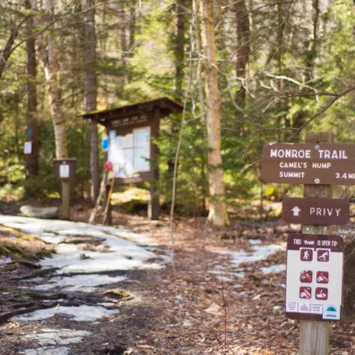 Near Camels Hump Via the Monroe Trail Near Camels Hump Via the Monroe Trail