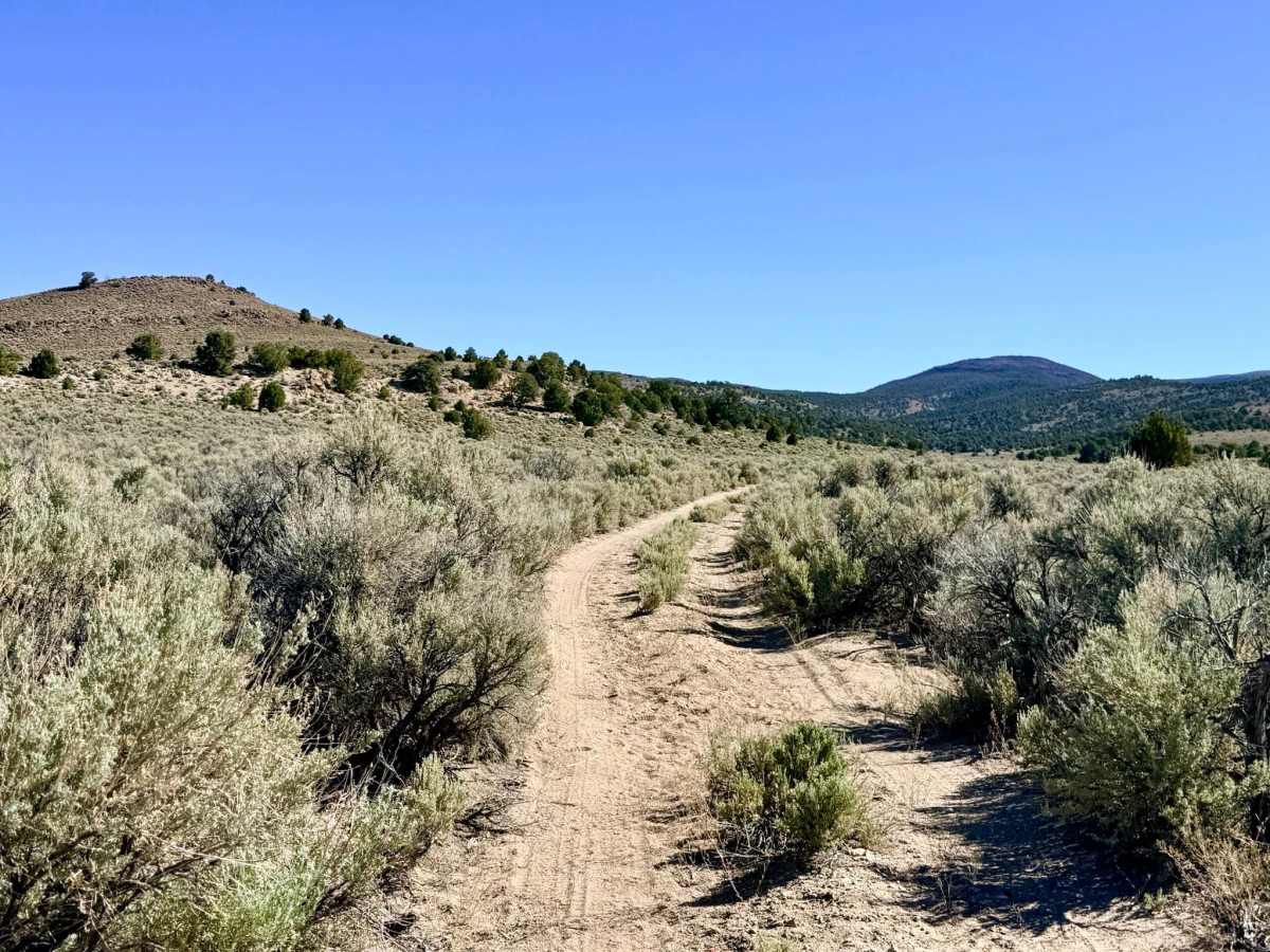 Horse Heaven Canyon photo 5