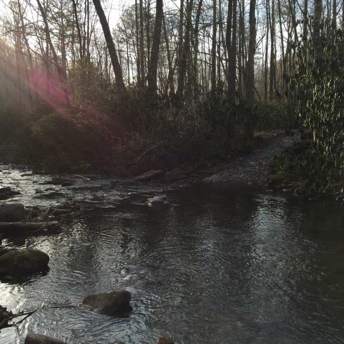 The last crossing of the North Mills River is quick and doable. Near Mills River Loop