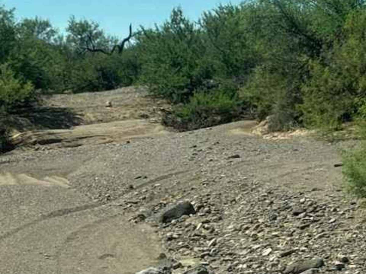 BLM PE1010 photo 6
