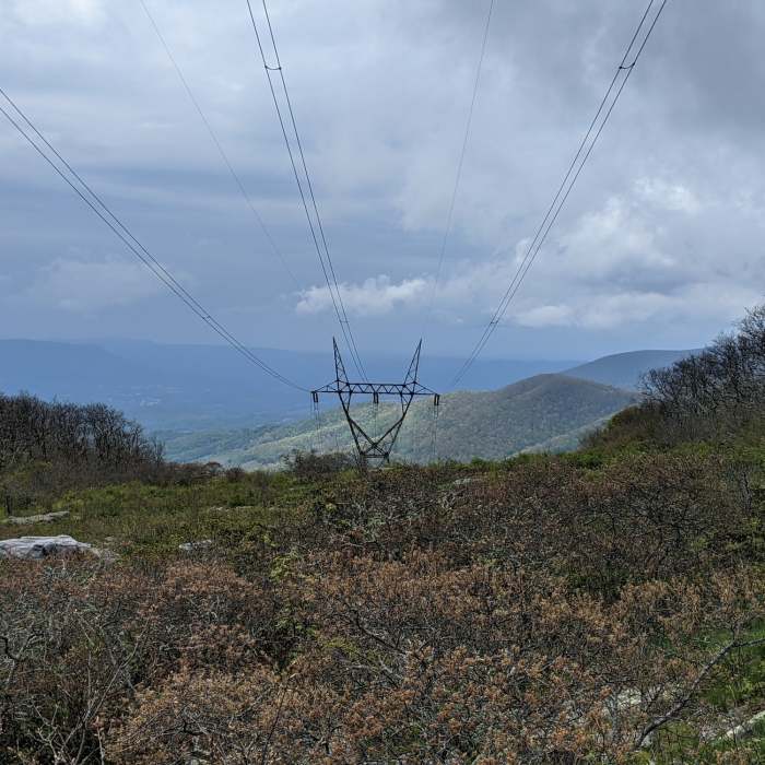 Near Homestead Trail