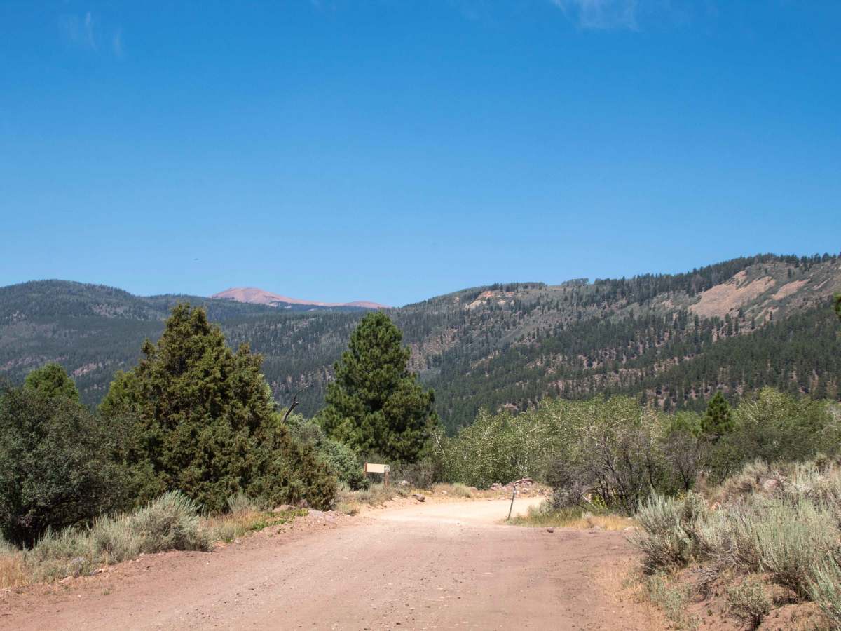 Upper Yellowstone - FS 10124 trail photo