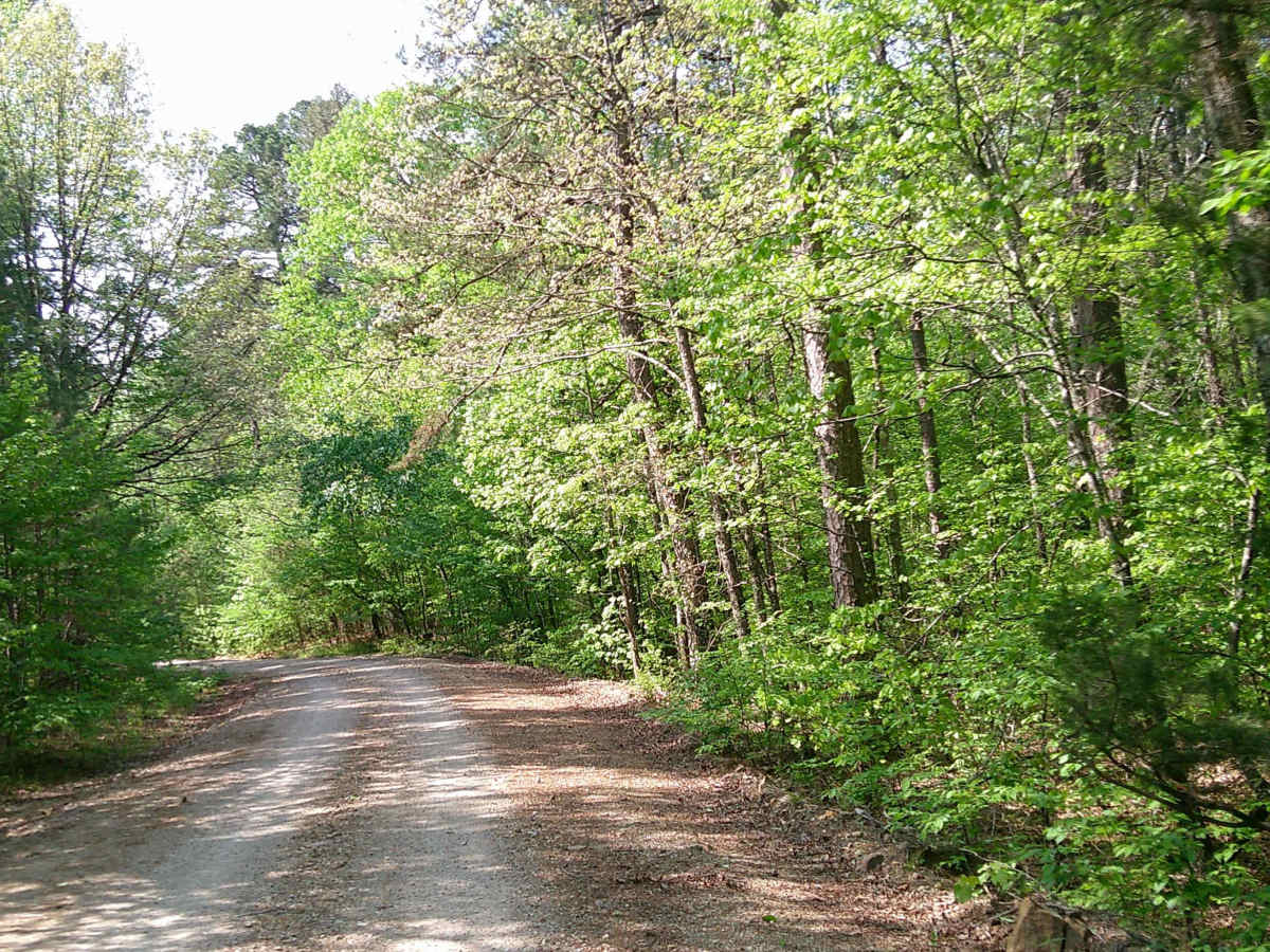 Bear Creek photo 4